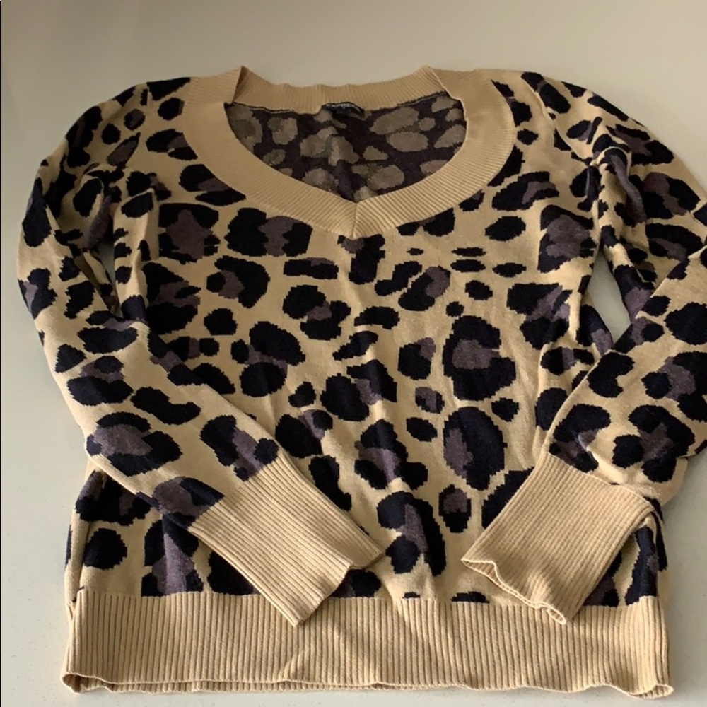 Express sweater